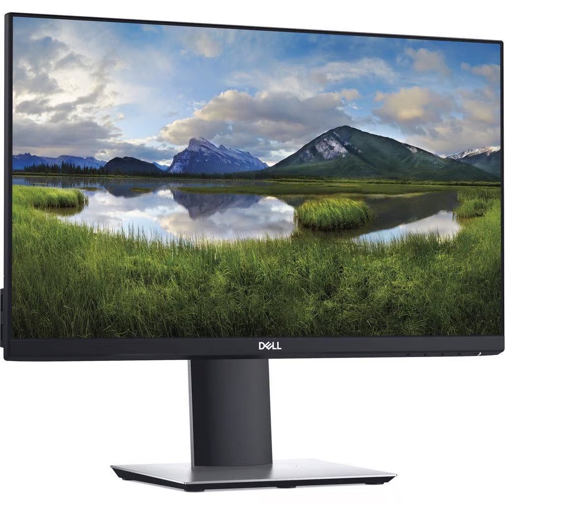 Écran 21" LCD FHD Dell P2219H